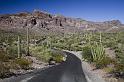 128 Organ Pipe Cactus National Monument